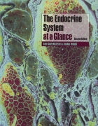 The Endocrine System at a Glance 